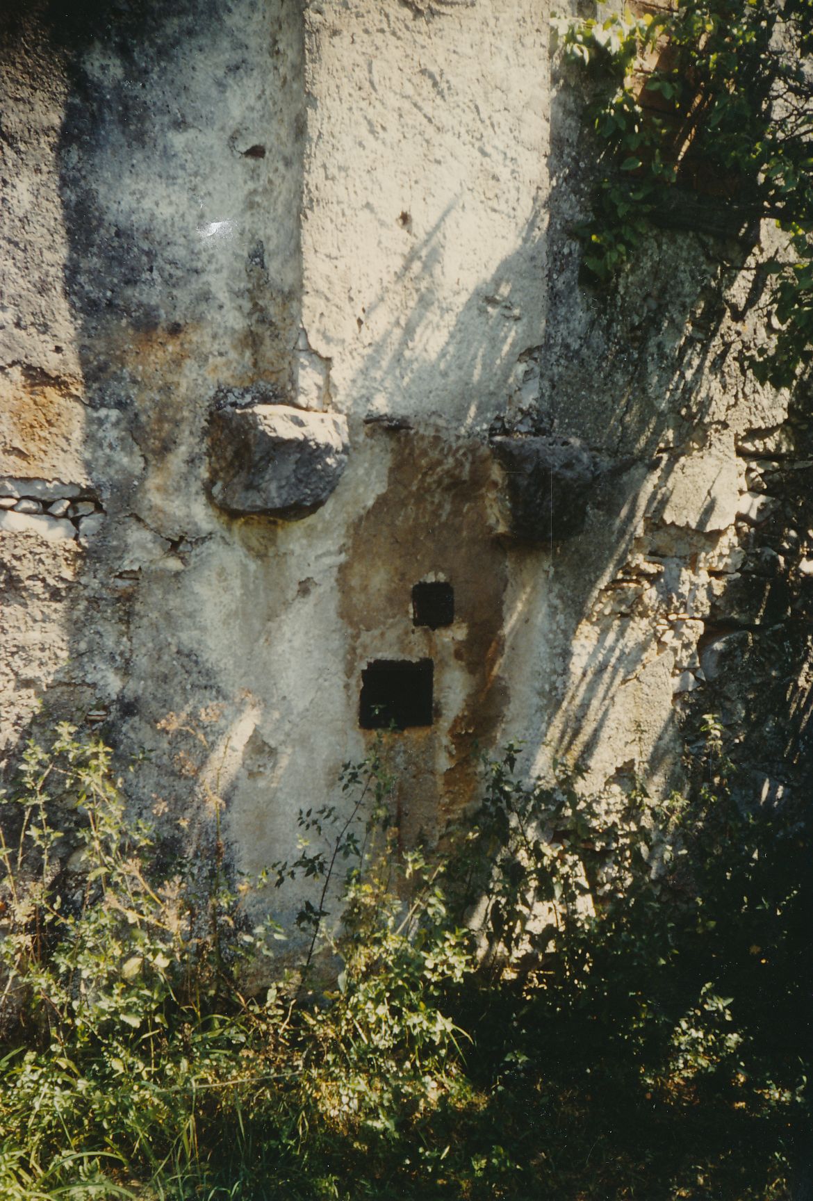 eika image